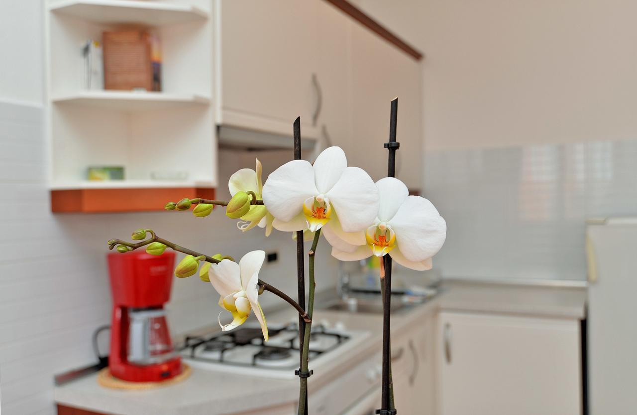 Apartment Ljiljana 1553 Novigrad Istria Exteriér fotografie